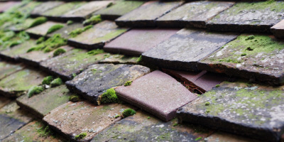 Bishop Sutton roof repair costs